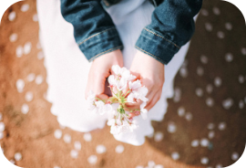 브이로그이미지